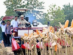 Perkuat Ketahanan Pangan Nasional, Presiden Prabowo Turun Langsung Panen Jagung di Tuban
