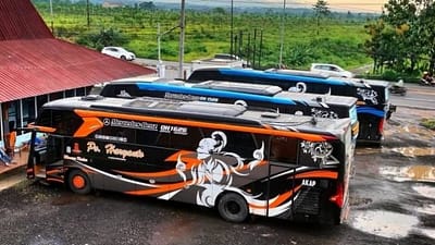 Siapa Pemilik PO Haryanto? Viral Busnya Seruduk Pajero di dalam di Tol Semarang-Batang