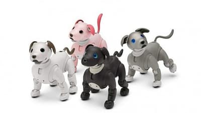 Harga Rupiah 45 Juta, Sony Peluncuran Robot Anjing Peliharaan dengan Fitur Teknologi Kecerdasan Buatan