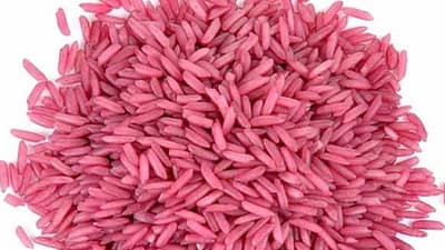 Peneliti Korea Selatan Ciptakan Nasi Super dengan Kandungan Daging Sapi, Mau Coba?
