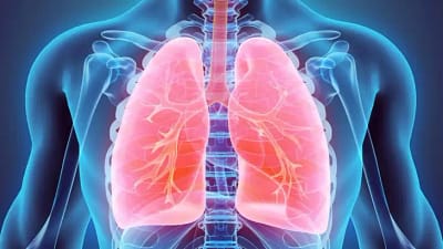 6 Herbal yang tersebut dimaksud Bisa Membersihkan Paru-paru secara Alami